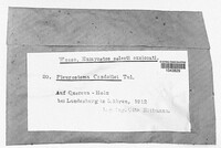 Image Associated With the Occurence
